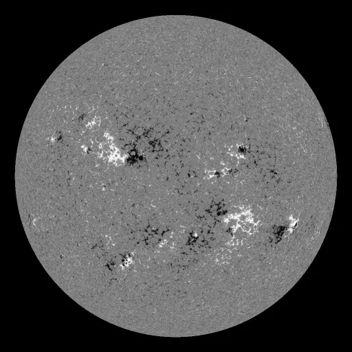 Solar Magnetic Fields