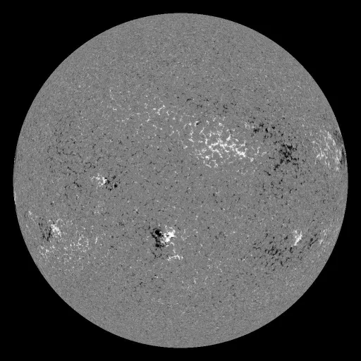 Solar Magnetic Fields
