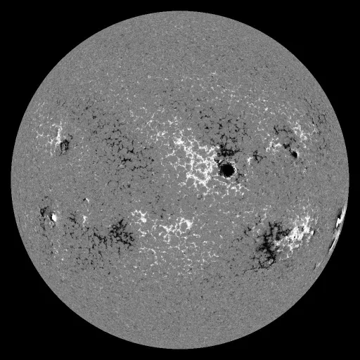Solar Magnetic Fields