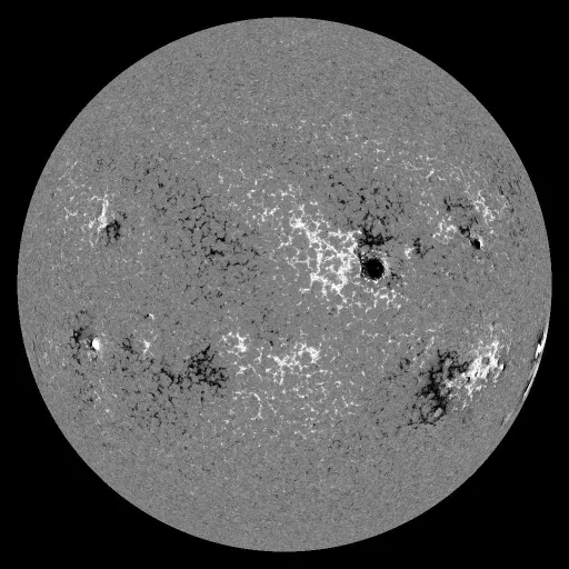 Solar Magnetic Fields