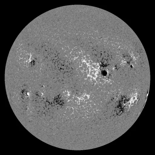 Solar Magnetic Fields