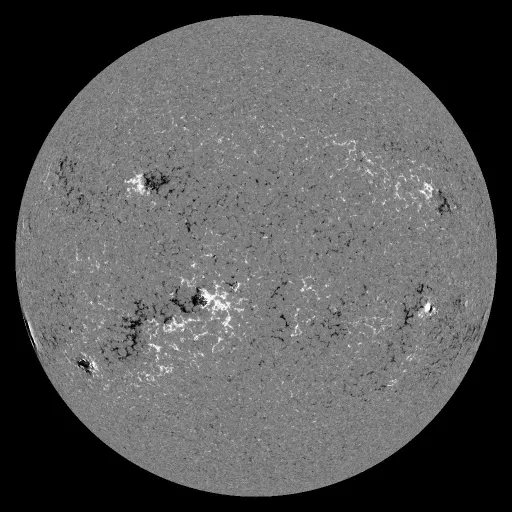 Solar Magnetic Fields