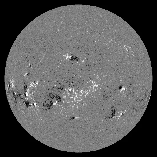 Solar Magnetic Fields