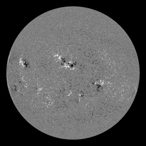 Solar Magnetic Fields