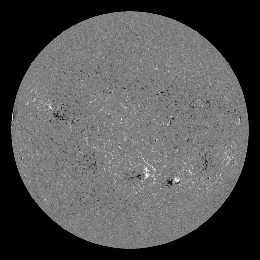 Solar Magnetic Fields