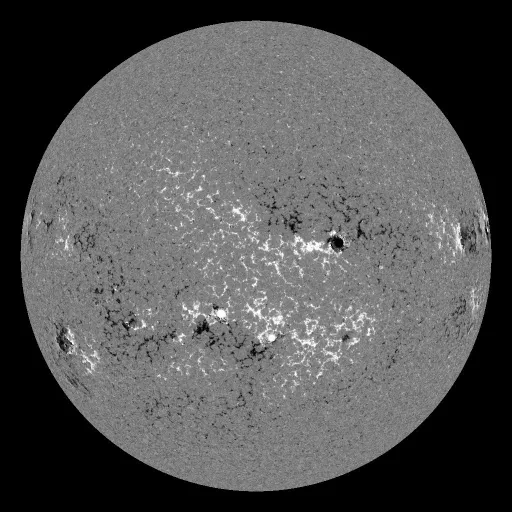 Solar Magnetic Fields
