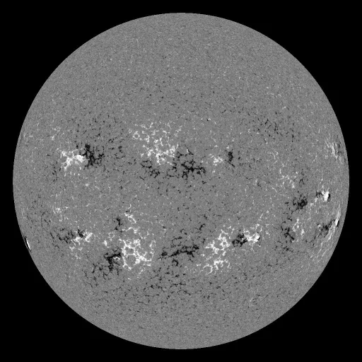 Solar Magnetic Fields