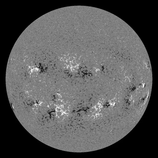 Solar Magnetic Fields