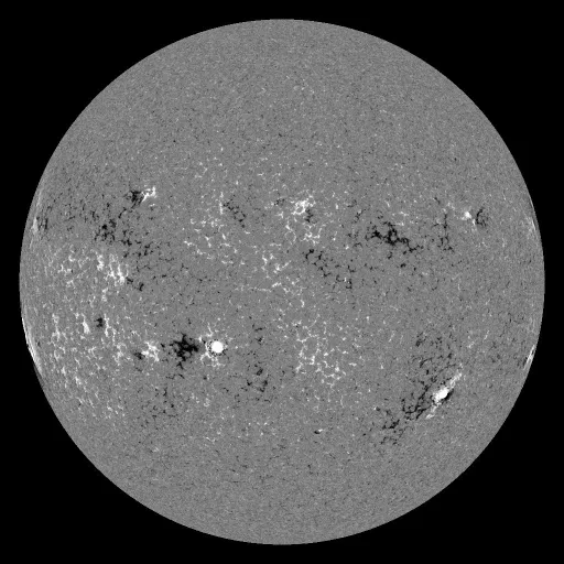 Solar Magnetic Fields