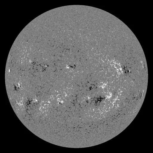 Solar Magnetic Fields