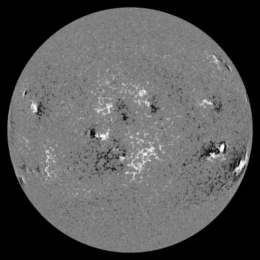Solar Magnetic Fields