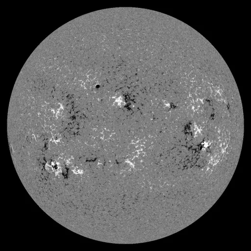 Solar Magnetic Fields