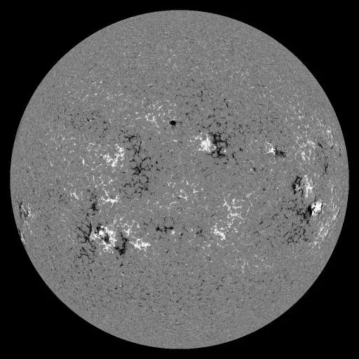Solar Magnetic Fields