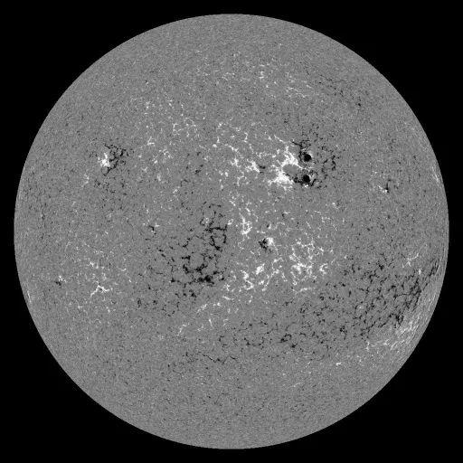 Solar Magnetic Fields