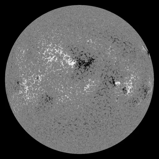 Solar Magnetic Fields