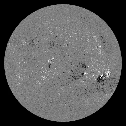 Solar Magnetic Fields