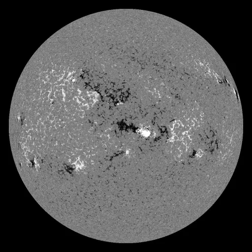 Solar Magnetic Fields