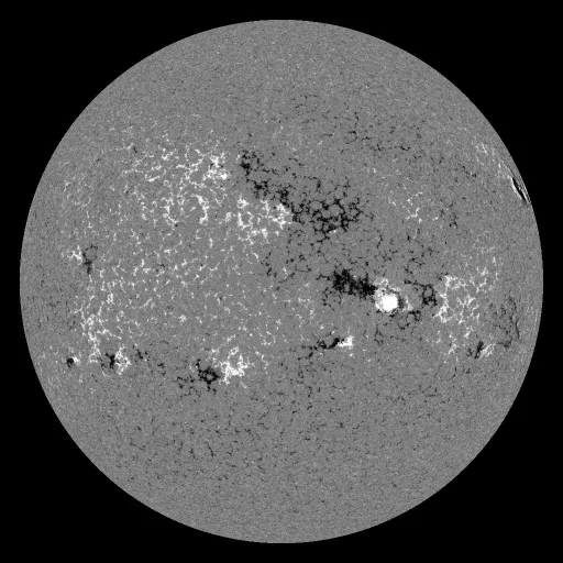 Solar Magnetic Fields