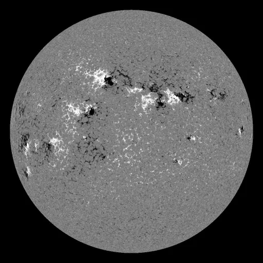Solar Magnetic Fields
