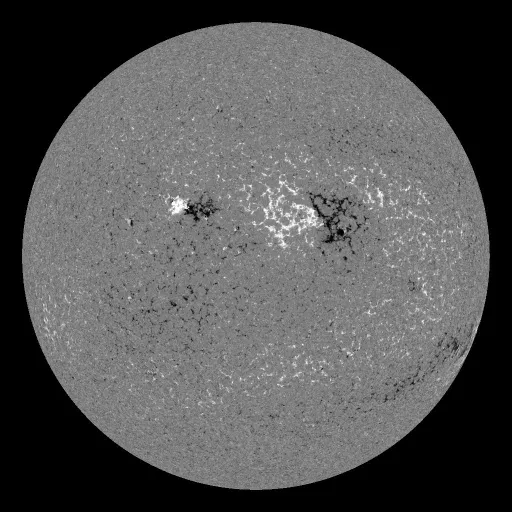 Solar Magnetic Fields