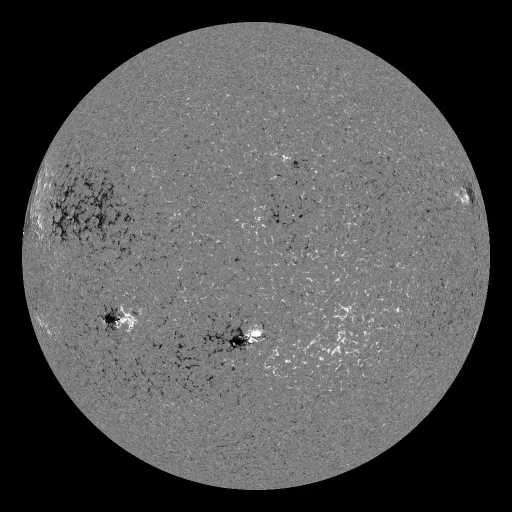 Solar Magnetic Fields