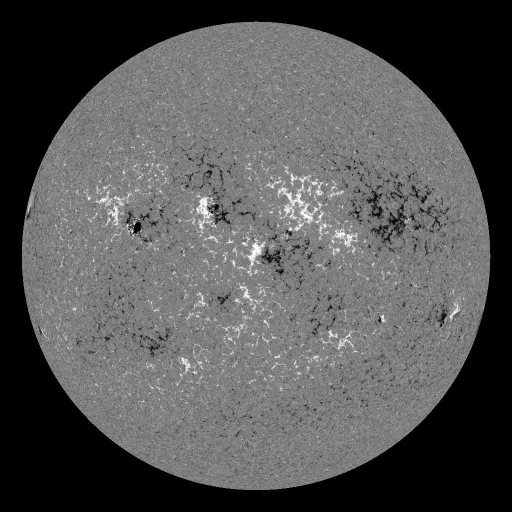 Solar Magnetic Fields
