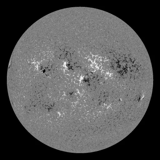 Solar Magnetic Fields