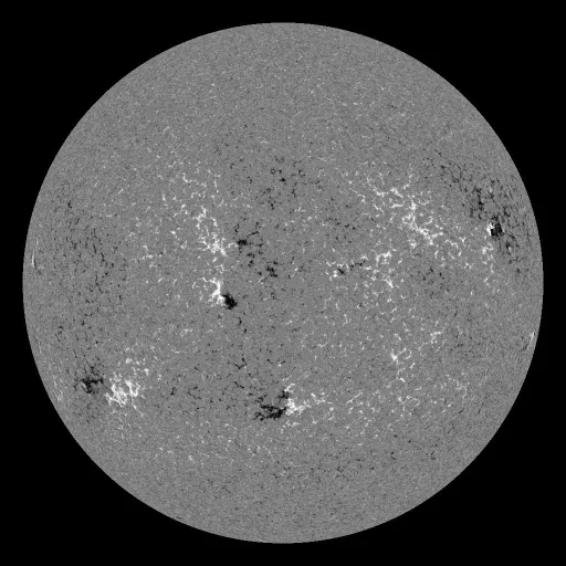 Solar Magnetic Fields