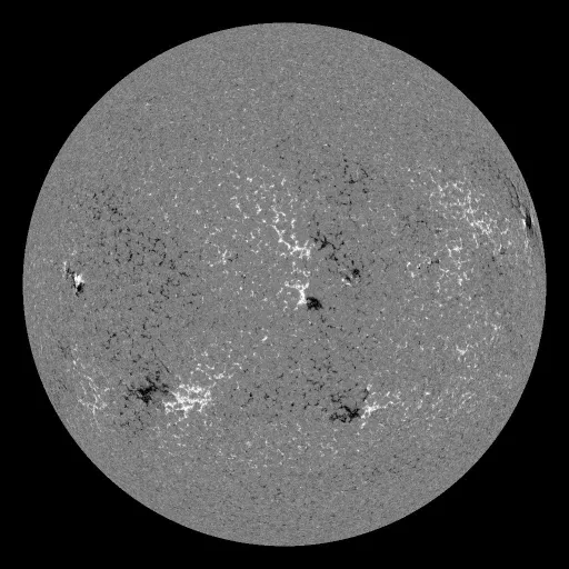 Solar Magnetic Fields
