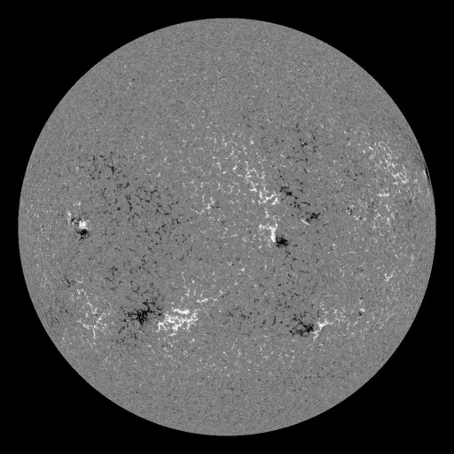 Solar Magnetic Fields