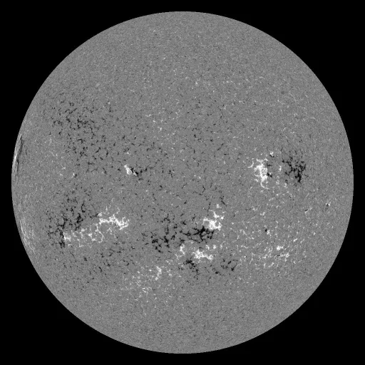 Solar Magnetic Fields