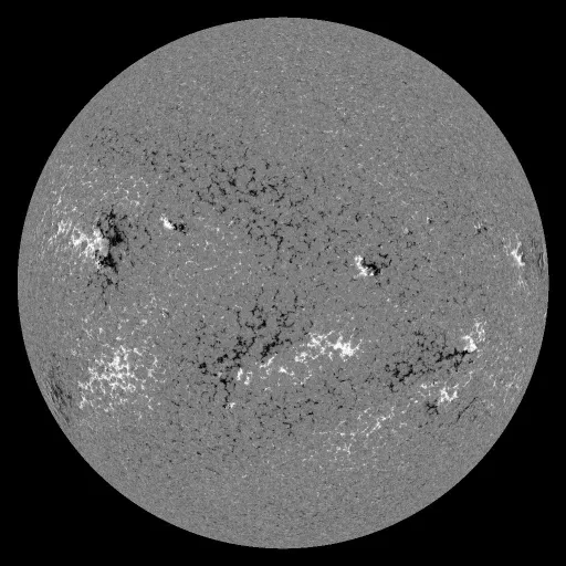 Solar Magnetic Fields