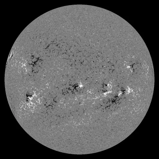 Solar Magnetic Fields