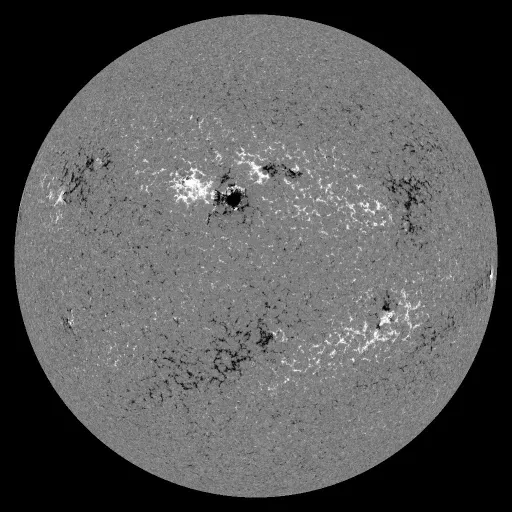 Solar Magnetic Fields