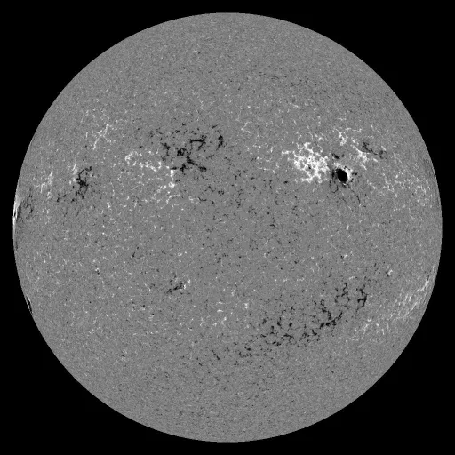 Solar Magnetic Fields