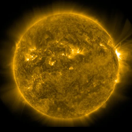 Solar Corona
