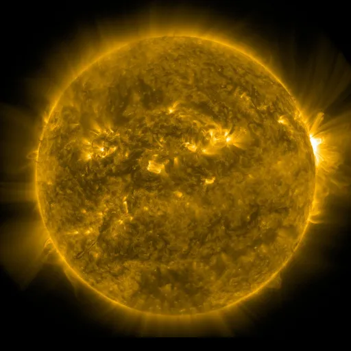 Solar Corona