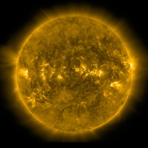 Solar Corona