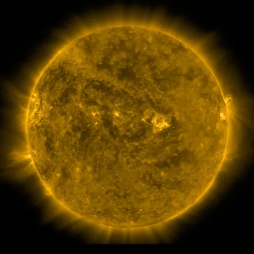 Solar Corona