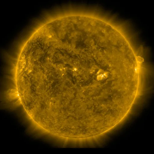 Solar Corona