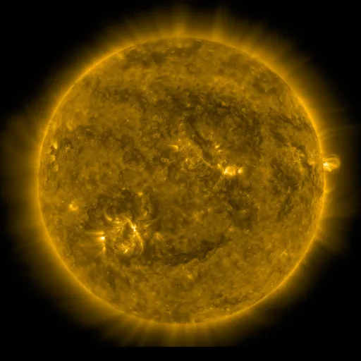 Solar Corona