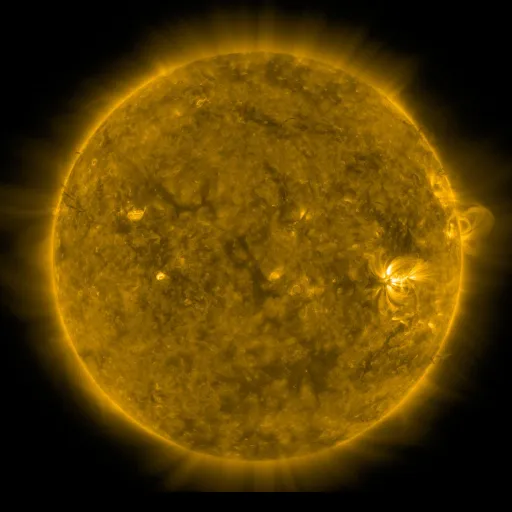 Solar Corona