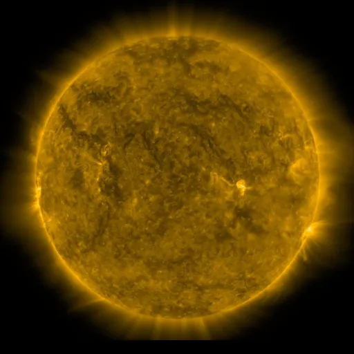 Solar Corona