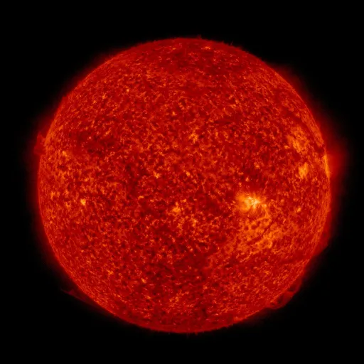 Solar transition region