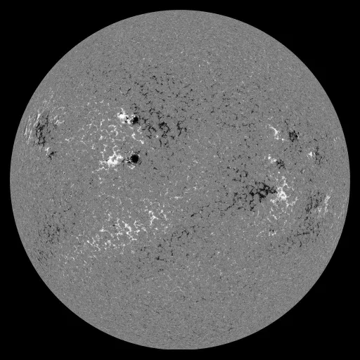 Solar Magnetic Fields