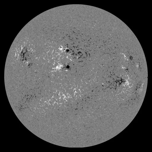 Solar Magnetic Fields