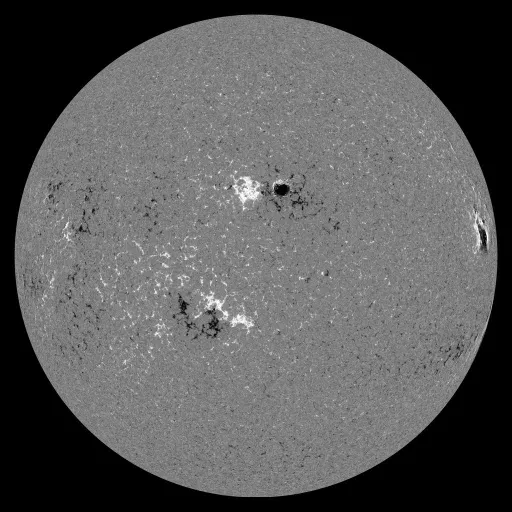 Solar Magnetic Fields