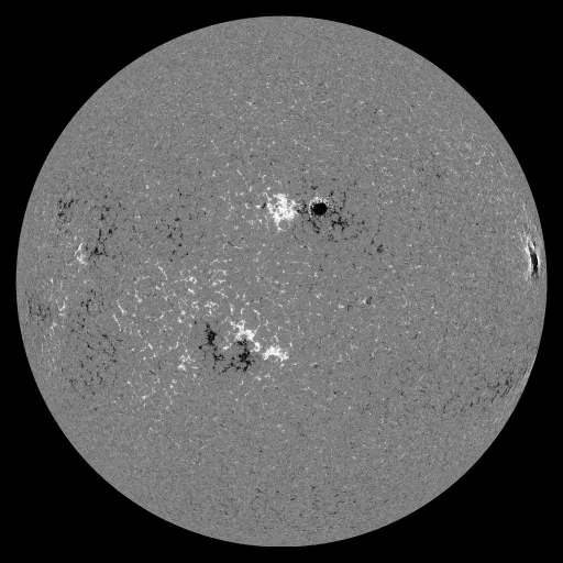 Solar Magnetic Fields