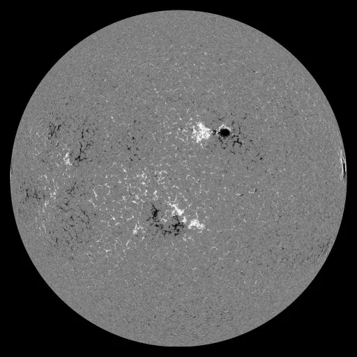 Solar Magnetic Fields