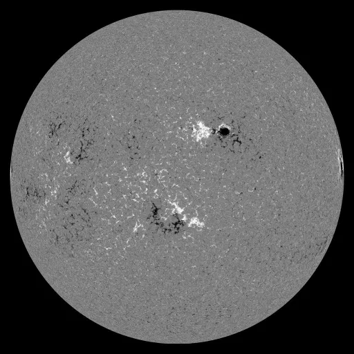 Solar Magnetic Fields